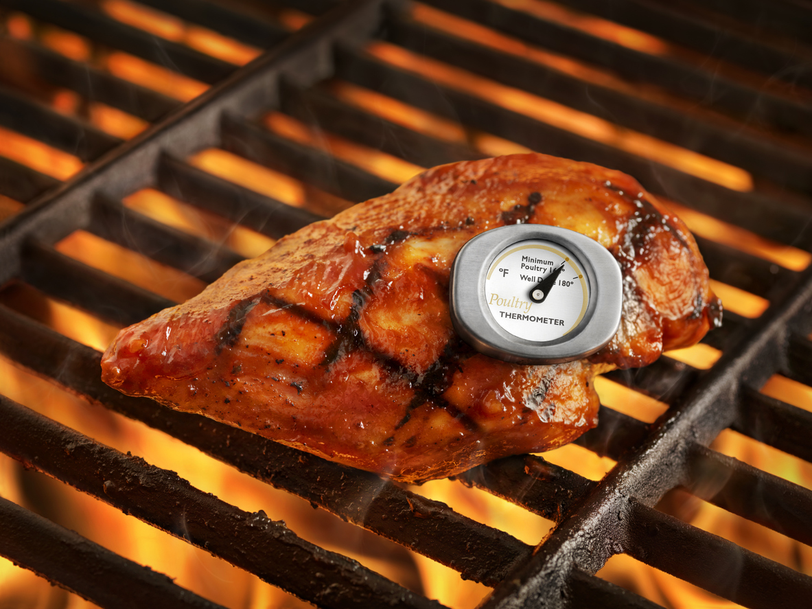 Chicken on sale meat thermometer